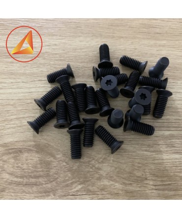 Vít hoa thị M5x15